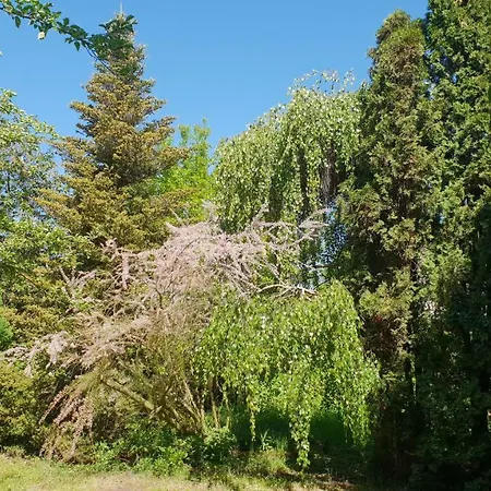 Hortensie شقة